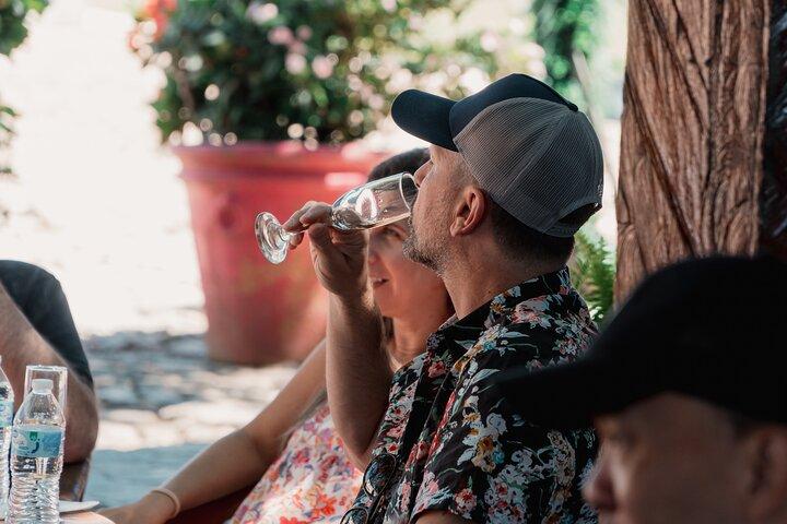Tequila Day Trip