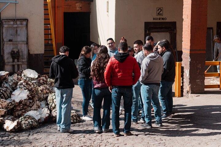 Private Tequila Tour