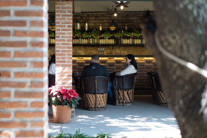 Private Tequila Tour