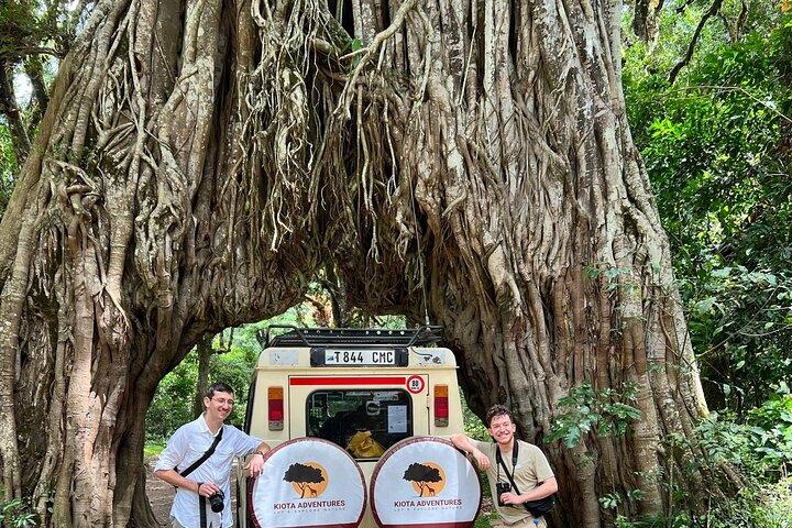 4 Days Group Camping Safari of Tanzania