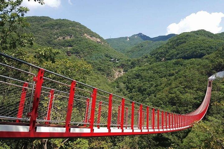 DMZ 3rd Tunnel and Suspension Bridge Guided Private Tour