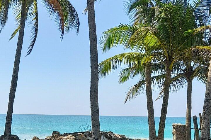 Galle & Bentota Day Tour from Negombo or Colombo