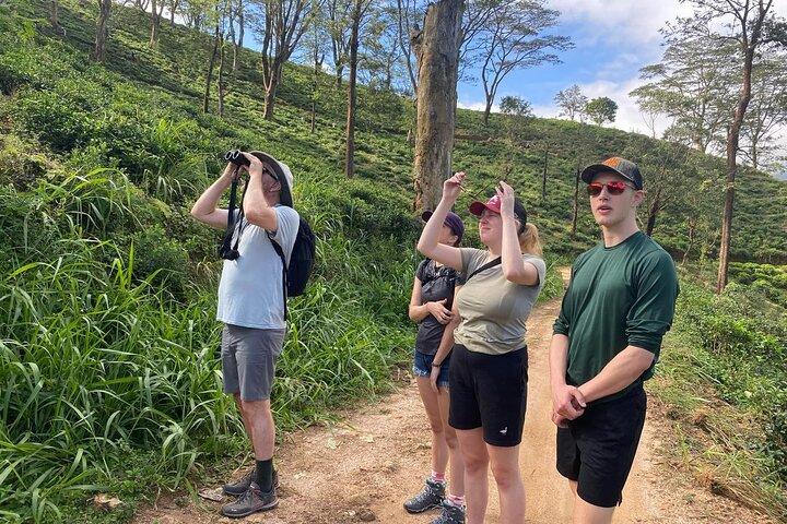Pekoe Trail Stage 1- Scenic Trek from Hanthana to Galaha