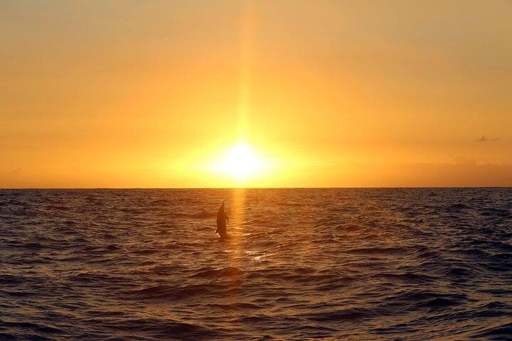 Premium Snorkel Sunset Cruise with Dolphin Watch