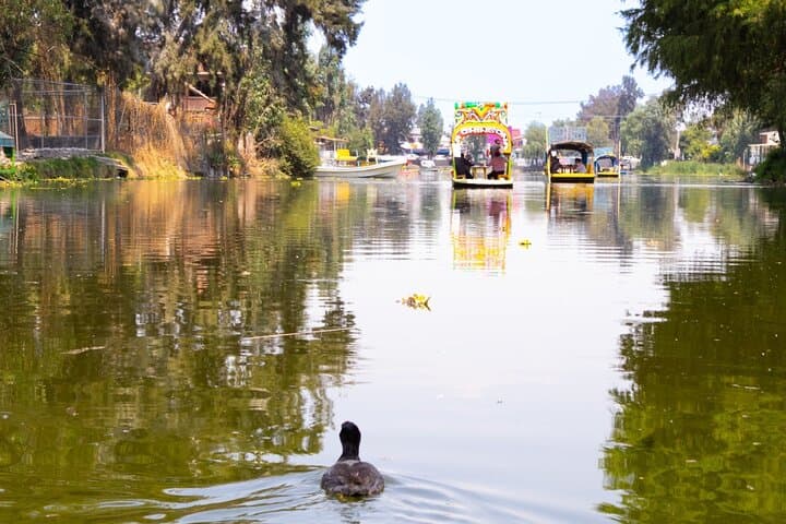 Hidden Canals of Tláhuac: A Peaceful Alternative to Xochimilco