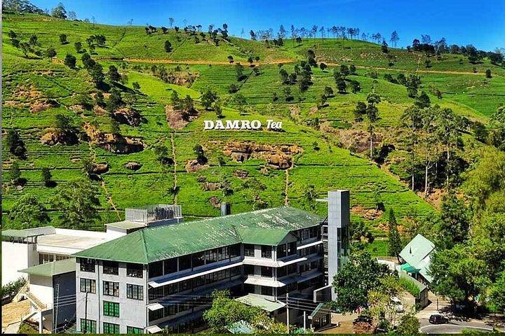 Private Historical Day Tour from Colombo and Negombo