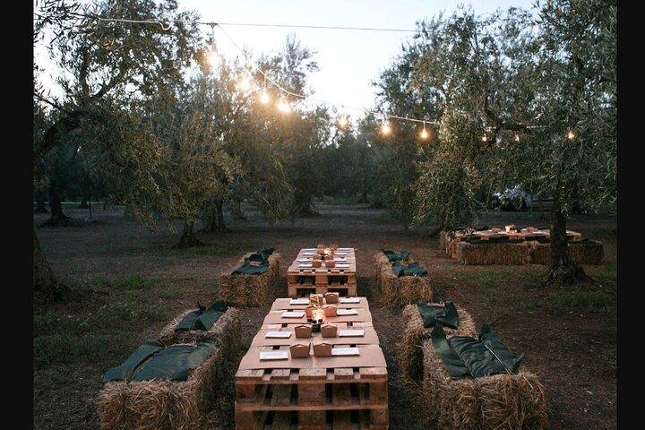 Apulian Olive Oil Tasting and Aperitivo Experience in Trani
