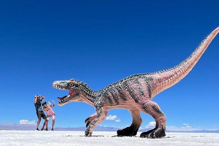 Salinas Grandes and Humahuaca Solar Train Tour from Purmamarca