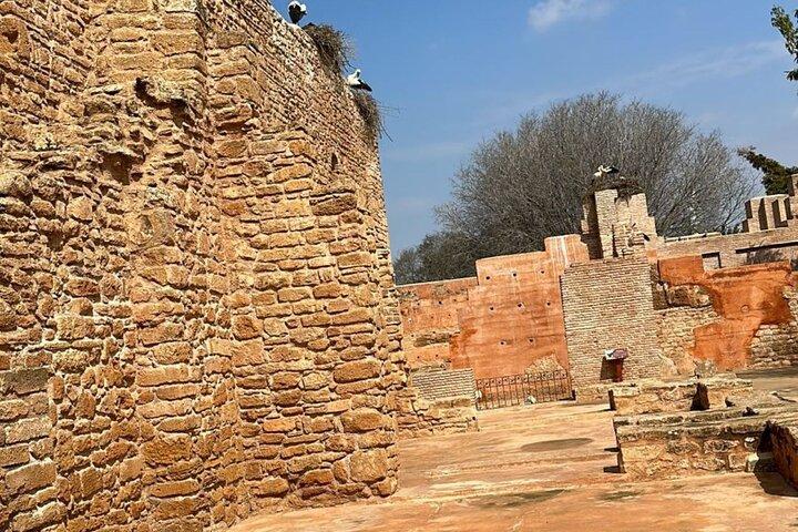Private Rabat Day Trip from Casablanca with Guided City Tour