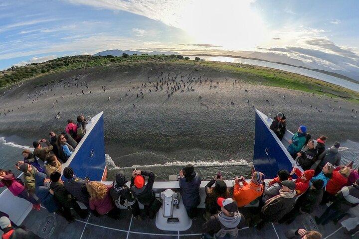 Navigate through the Beagle Channel: Seal, Bird & Penguin Islands