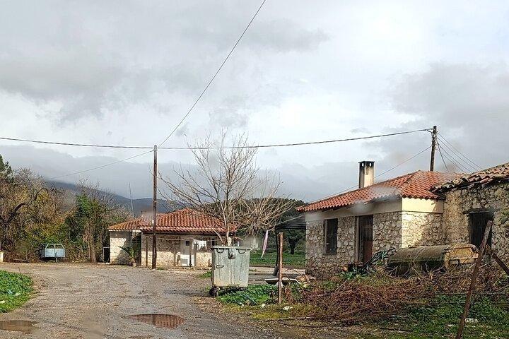 Ancient Nemea and Wine Tasting from Nafplio