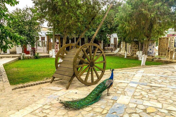Bukhara Countryside Tour with Traditional Lunch & Transport