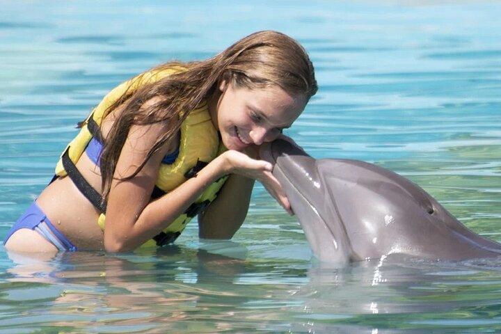 Meeting at the Dolphinarium