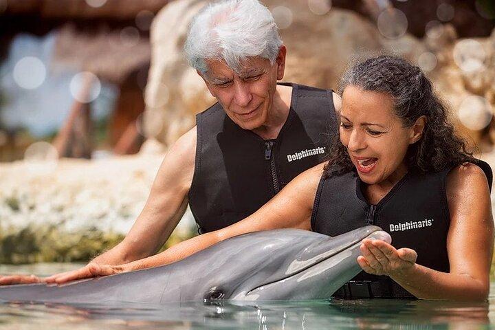 Meeting at the Dolphinarium