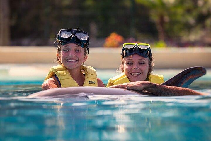 Meeting at the Dolphinarium