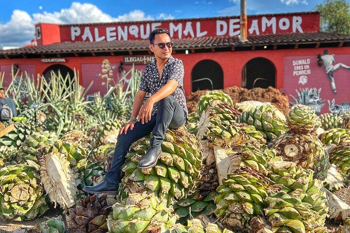 Monte Alban, Alebrijes, Teotitlan, Mezcal and Tule Tree Tour