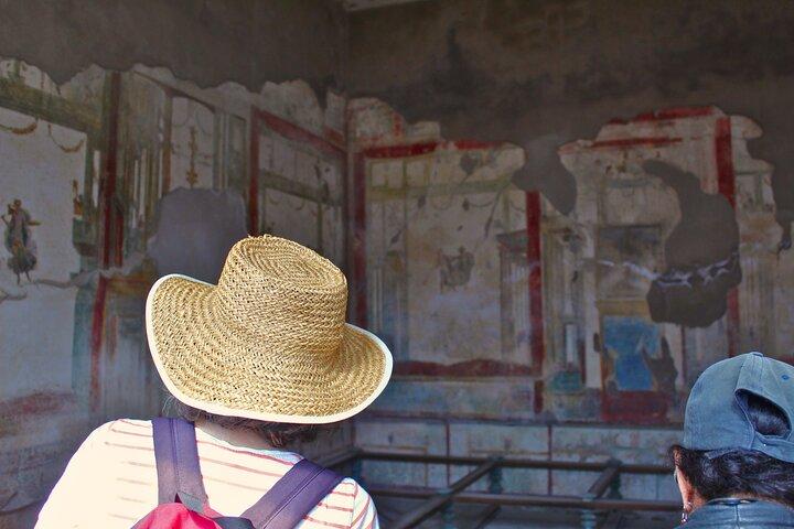 Skip the Line Pompeii Guided Tour from Sorrento