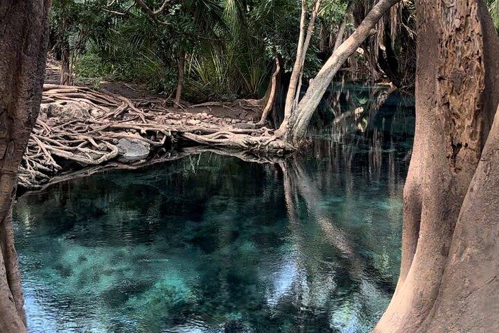 Hot Springs and Maasai Village Day Adventure
