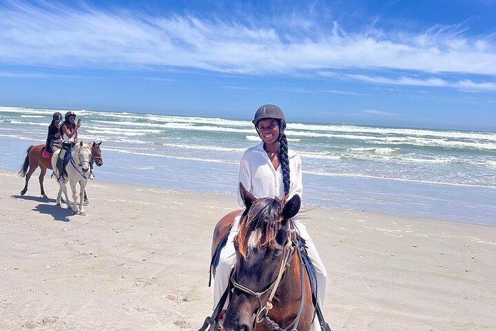 Seven Words Tours- New Jersey Day Tours