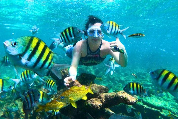 Cartagena's Rosario Islands 5-Site Boat Tour with Lunch & Snorkel