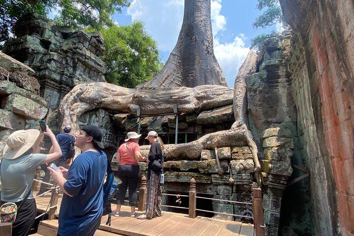 Angkor Wat Sunrise Tour & Archaeological Park Exploration