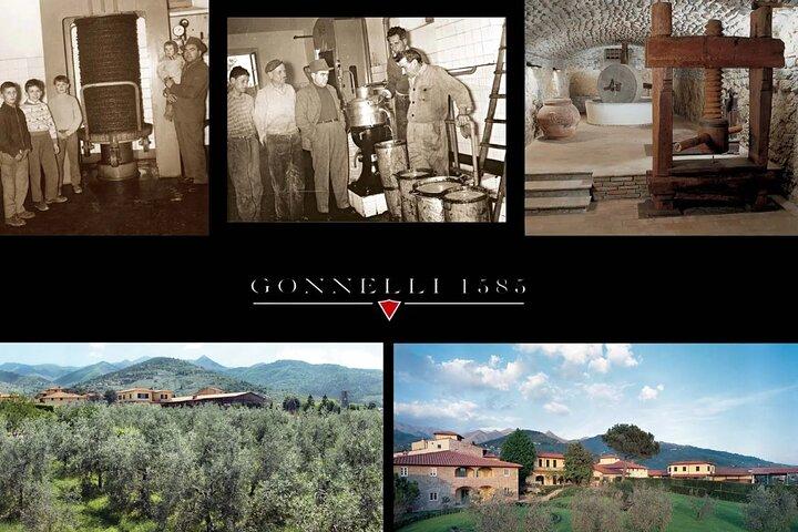 EVO Oil Tasting and Lunch at Historic Mill Near Florence