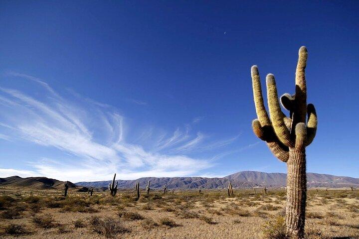 Cachi and Los Cardones National Park from Salta