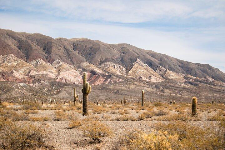 Cachi and Los Cardones National Park from Salta