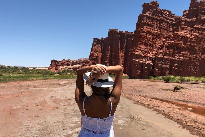 Cafayate, Vineyards and Calchaquies Valleys Tour from Salta
