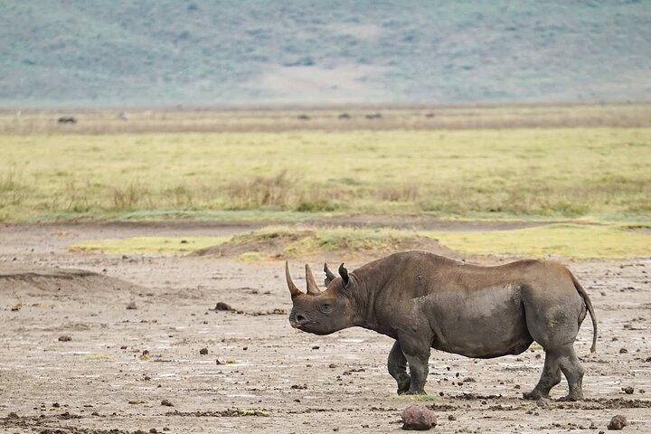 4 Days Group Camping Safari