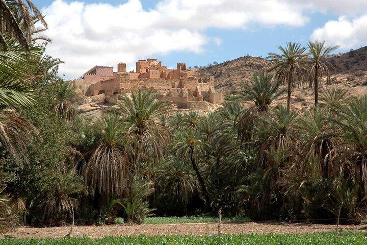 Taroudant and tiout day trip from Agadir
