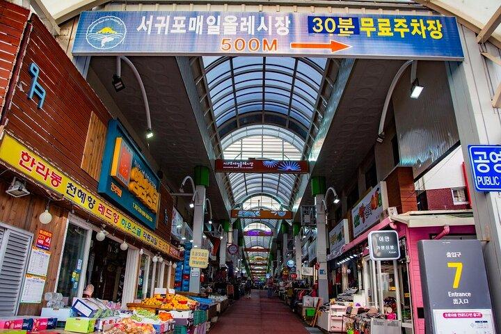 Seogwipo Gangjeong Cruise Terminal Private Tour