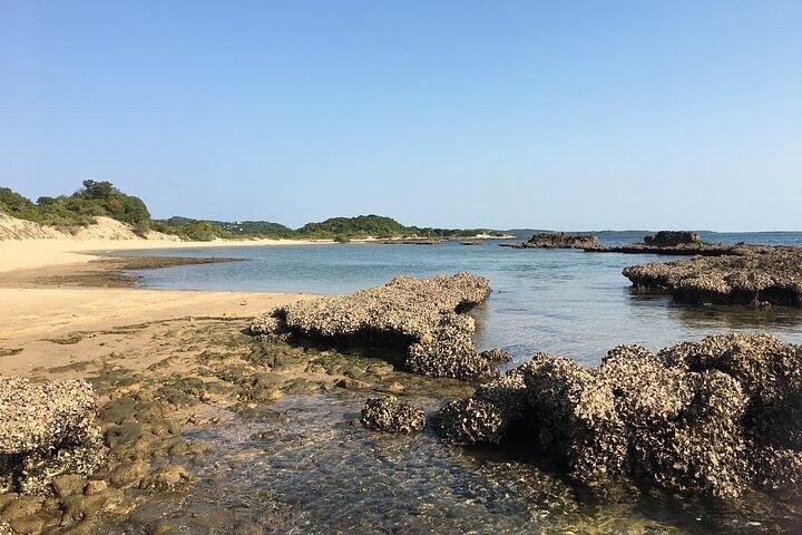 Inhaca Island Day Tour: Snorkeling, Beaches & Local Culture