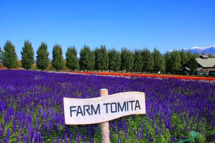 Hokkaido Farm Tomita Shikisai Hill Waterfall& Blue Pond Day Tour