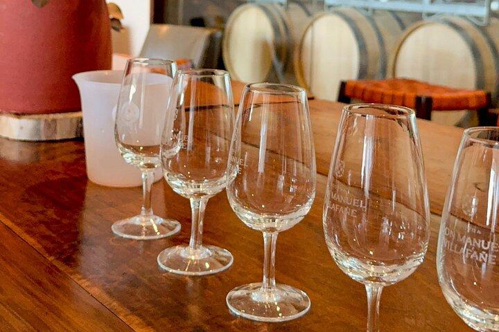 Tour of 3 Wineries and Olive Trees with Tastings
