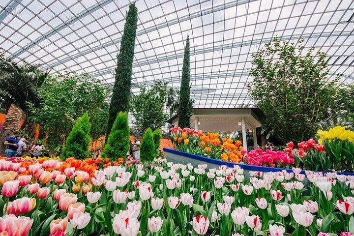Singapore Gardens by the Bay E-Ticket: Flower Dome + Cloud Forest
