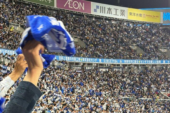 Catch a Baseball Game in Tokyo with a Local - Tickets Included