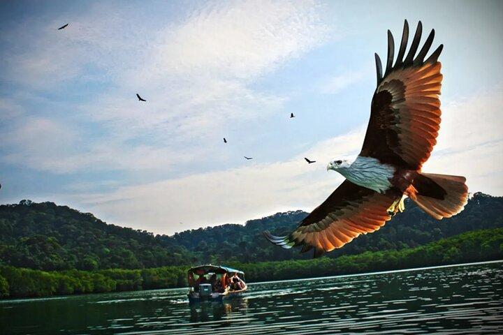 Malaysia Langkawi Island Hopping Tour Experience