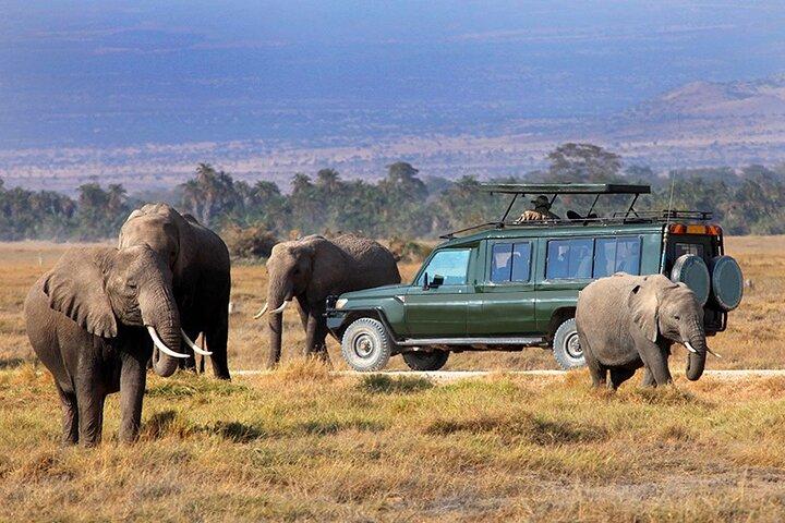4 Day Masai Mara Lake Naivasha 4X4 Land Cruiser Safari