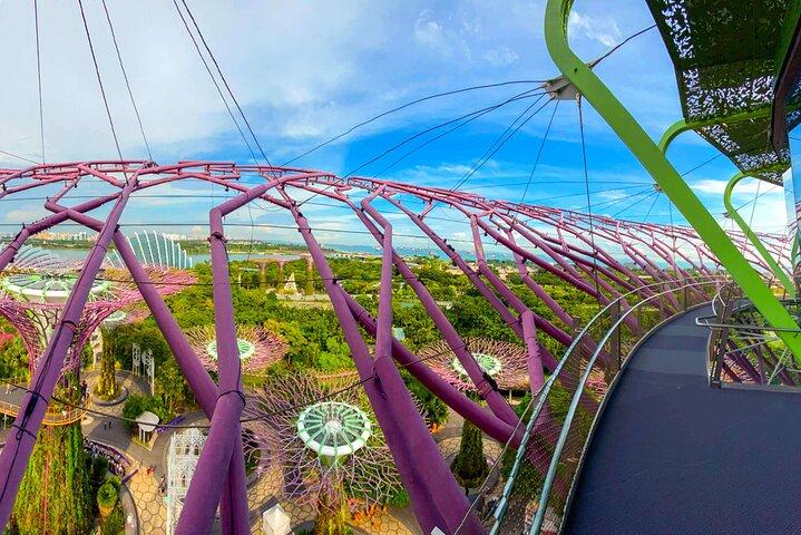 SuperTree Flower dome Cloud Forest Garden by the Bay singapore