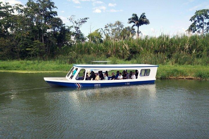 Full-Day Tour to Cahuita National Park from Puerto Limon