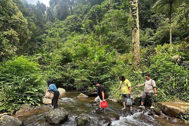 Jakarta: Hidden Waterfall Rainforest Trek & Botanical Garden Tour