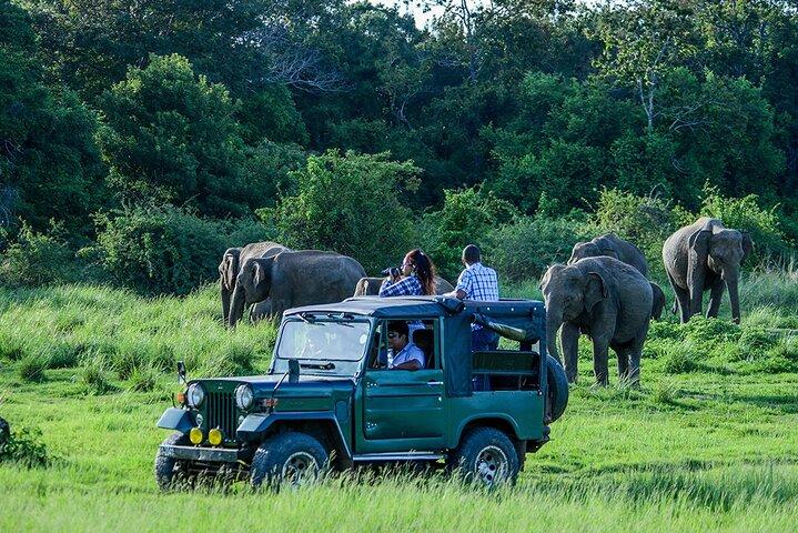 Udawalawe Safari & Transfer to Arugam Bay - Private Day Trip