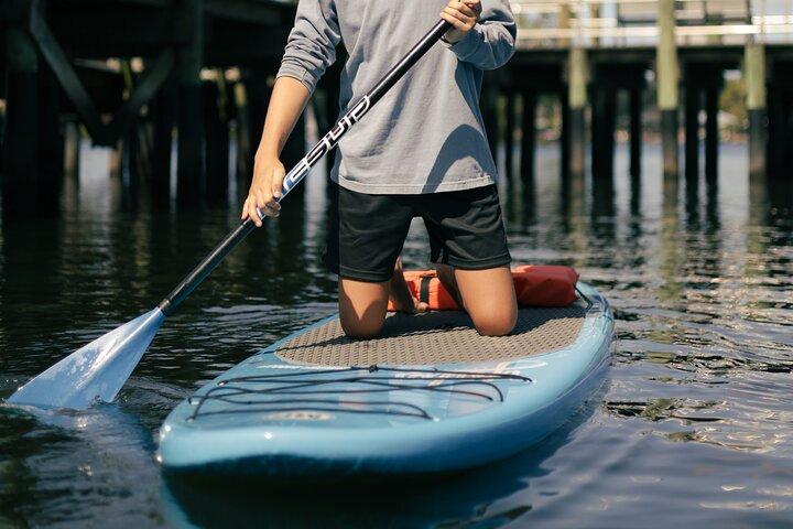 Crystal River Paddle Board Rental | 2 Hour | See The Manatees!