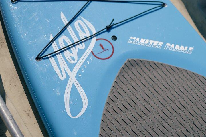 Crystal River Paddle Board Rental | 3 Hour | See The Manatees!