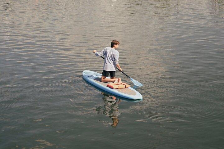 Crystal River Paddle Board Rental | 4 Hour | See The Manatees!