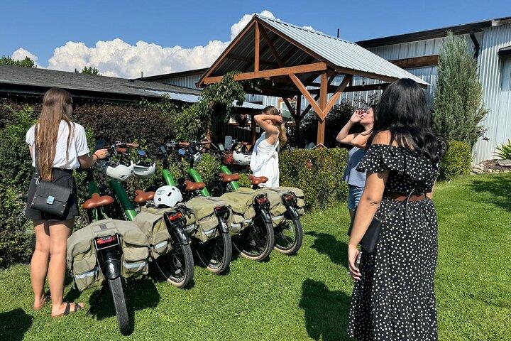 Kelowna E-Bike Bee Tour, Tastings, Organic Lunch & Audio Guide