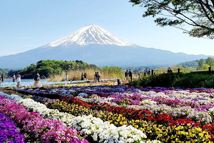 Mt. Fuji & Hakone Private Day Trip from Tokyo w/ English Guide