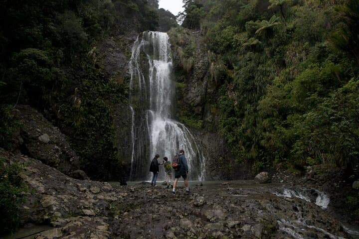 Explore BLACK SAND PIHA BEACH, and Water Falls in West Auckland