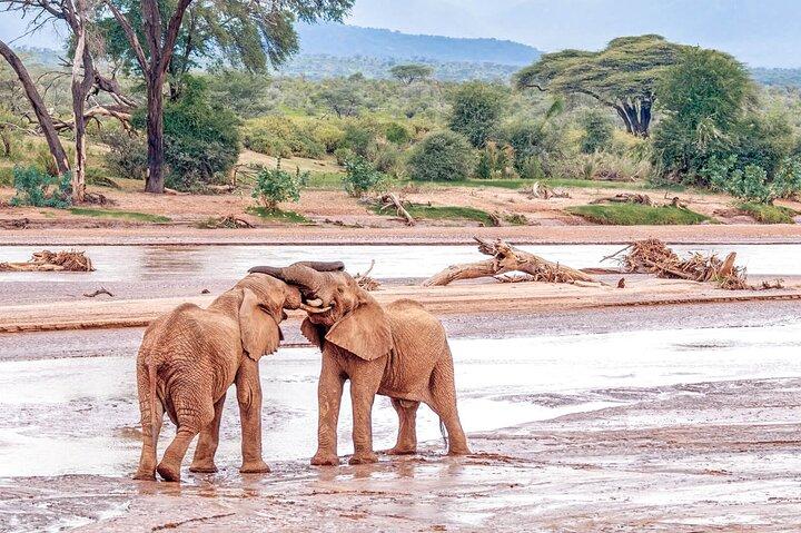 7 Days Maasai Mara Lake Nakuru Lake Naivasha and Samburu Safari